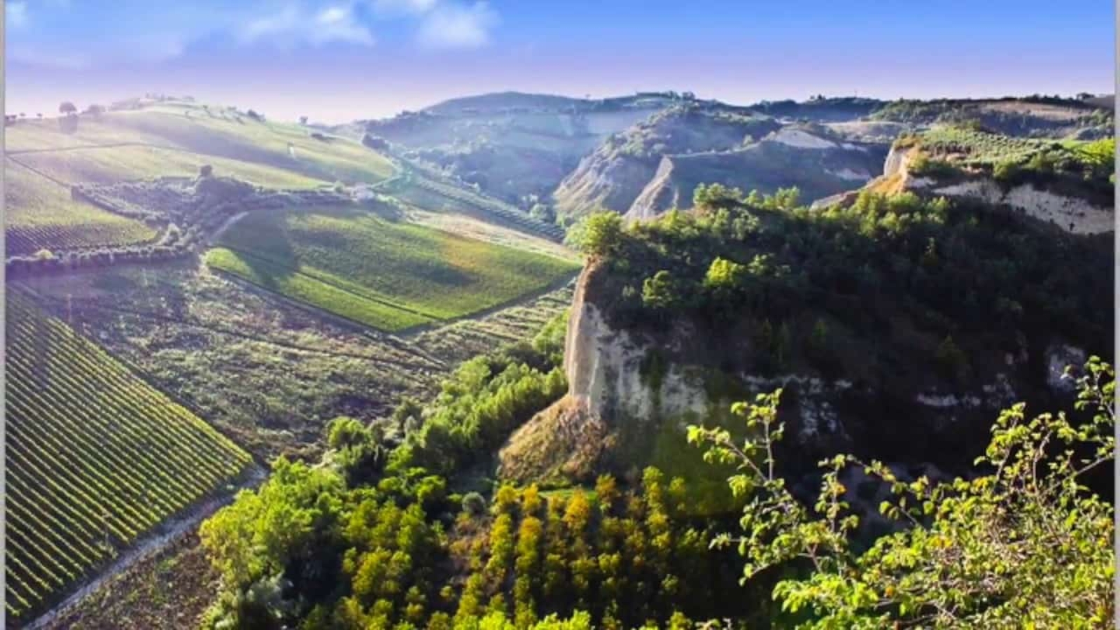 transport-pasageri-chisinau-Marche