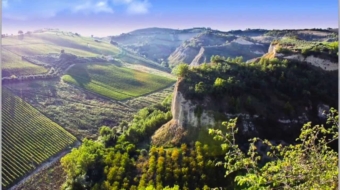 transport-pasageri-chisinau-Marche