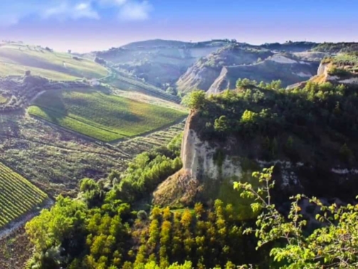 transport-pasageri-chisinau-Marche